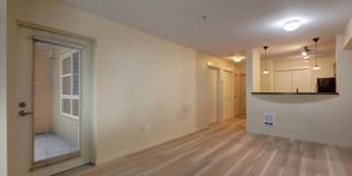 Downtown Bellevue One Bedroom One Bath Condo Available! Downtown Bellevue One Bedroom One Bath Condo Available! Gallery 6