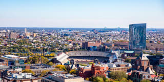 The Chestnut Gallery 31