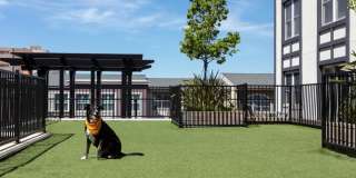 Bay House Emeryville Gallery 25