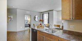 Summerfield at Morgan Metro Gallery 5