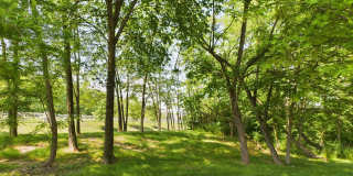 Legacy Park Gallery 56