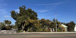 12135 Gulf Boulevard 12135 Gulf Boulevard Gallery 1