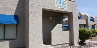 7952 E Colette Circle unit: 164 Gallery 18