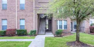 Woodland Point Gallery 5