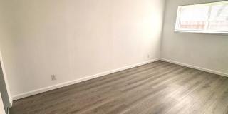 302 Dumont Ave Gallery 4