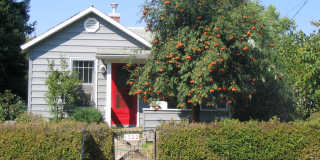 Centrally Located Home on Corner Lot with Small Pets Considered Gallery 1