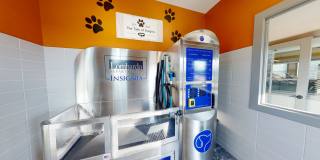 Insignia Apartments Gallery 29