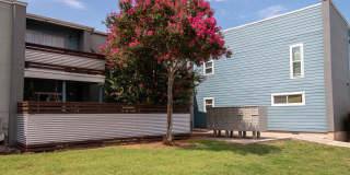 Auburn Creek Apartments Gallery 28