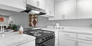 Veri on Cascade Forest Heights Gallery 6