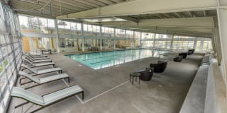 Madison Bellevue Gallery 24