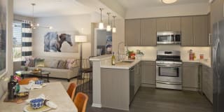 Olympus Corsair Gallery 4