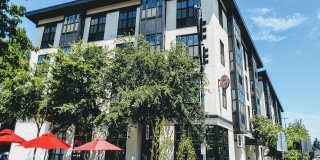 Northwood Gallery 11