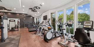 The Retreat at Park Meadows Gallery 23