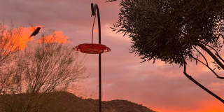 13075 W DESERT VISTA Trail Gallery 25