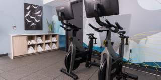 Eastline Central Gallery 35