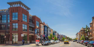 Harvard Village Gallery 81