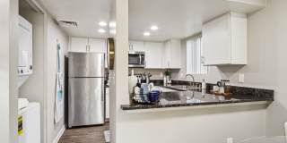 Vetra Chandler Gallery 29