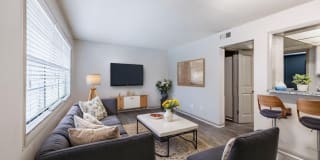Selwyn Flats Gallery 6