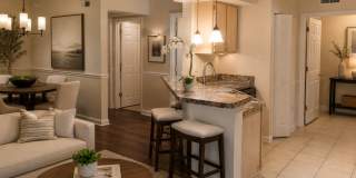 Gorgeous  Forest View, Wood Floors  1/1 condo for RENT @The Crest close to UCF. Gallery 5