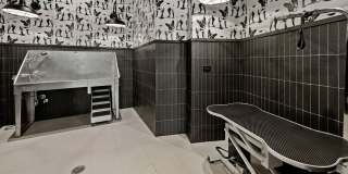 Madison West Elm Gallery 72