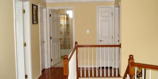 22008 IVY LEAF Drive Gallery 10