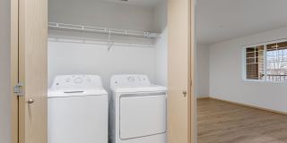 Reflections at the Park Gallery 7