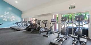 Laurel Crossing Apartment Homes Gallery 10