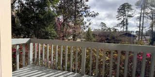 Beautiful 3 Bedroom 2.5 Bath Home in New Wood Valley Gallery 49