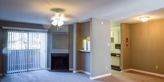 Wilshire Park Gallery 6