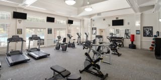 Sturbridge Commons Gallery 14
