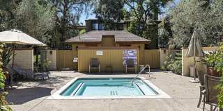 EXPERIENCE THE SOLITUDE OF TURTLE ROCK VILLAGE —3 Bedroom/2 Bath Condo Gallery 22