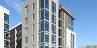 38 Dolores Gallery 7