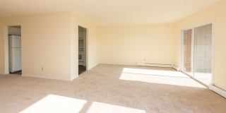 Chestnut Hill North Apartments Gallery 14