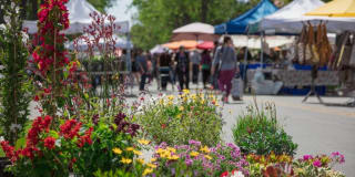 Domicilio Gallery 28