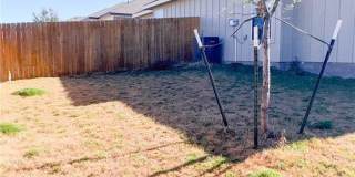 4913 Rose Garden Loop 4913 Rose Garden Loop Gallery 11