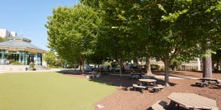 The Baxter Decatur Apartments Gallery 57