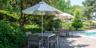 Audubon Square Gallery 8