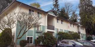 Forest Hills Forest Hills Gallery 21