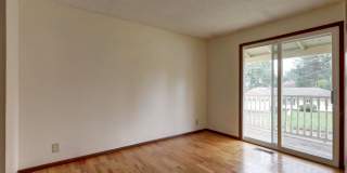 Bright spacious 4-bedroom 2.5 bath home in Bellevue Gallery 19