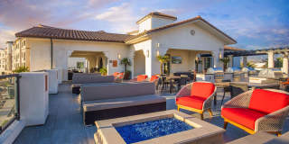 Vineyards Gallery 35