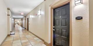 Beautifully updated and move-in ready, this fully remodeled 1-bedroom, 1-bath condo offers an open layout with high ceilings and an abundance of natural light throughout located in the Westshore District! Gallery 4