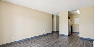 Broadmoor Springs Gallery 5