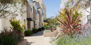 The Apartment Collection at Bay Meadows Gallery 7