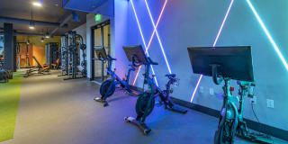 MiLine Miami - Apartments & Townhomes Gallery 25