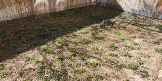 Beautiful 4BR Home for Rent in Cypress Trails – Near Medical Center Gallery 38