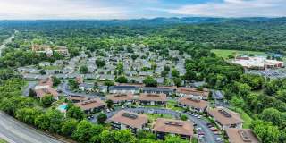 The Nelson Gallery 29