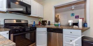 Huge 4 bed in Brookline Gallery 9