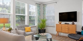 Park Avenue Apartments Gallery 44