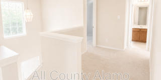 4919 Celtic Corner Gallery 15