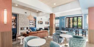 Northpark Place Gallery 5